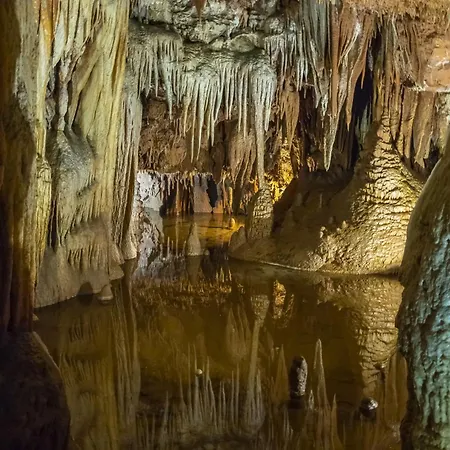 In - Istrien 9914 波雷奇